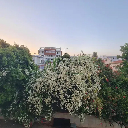 Flat Next To Papas * Лимасол